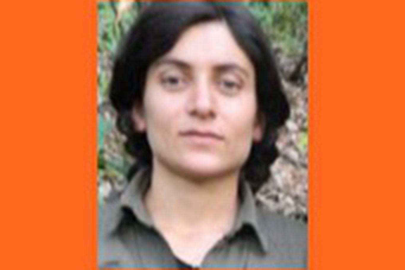 Turuncu kategorideki PKK'li öldürüldü